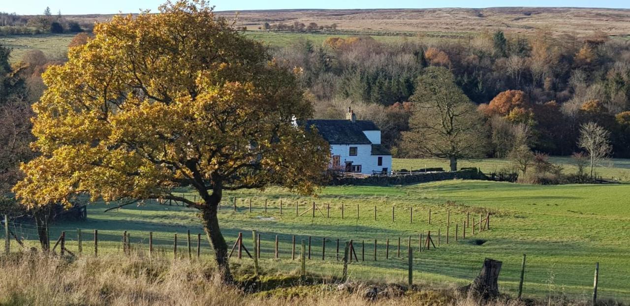 Lower Turnerford Farmhouse Newby  Εξωτερικό φωτογραφία